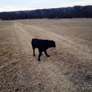 How Do We Finalize Our Home Construction Loan? Image